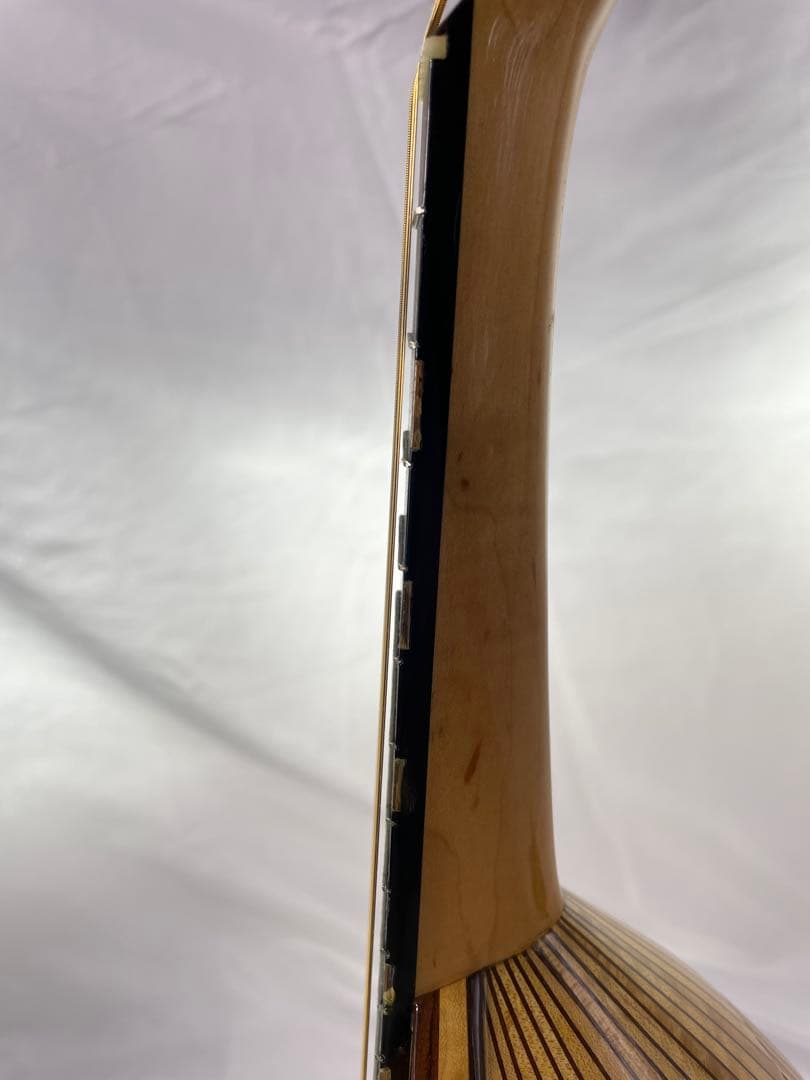 sound ena サウンドエナ M-200 最上位機種マンドリン