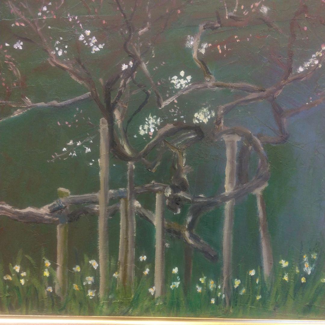 臥龍梅（横浜三渓園)