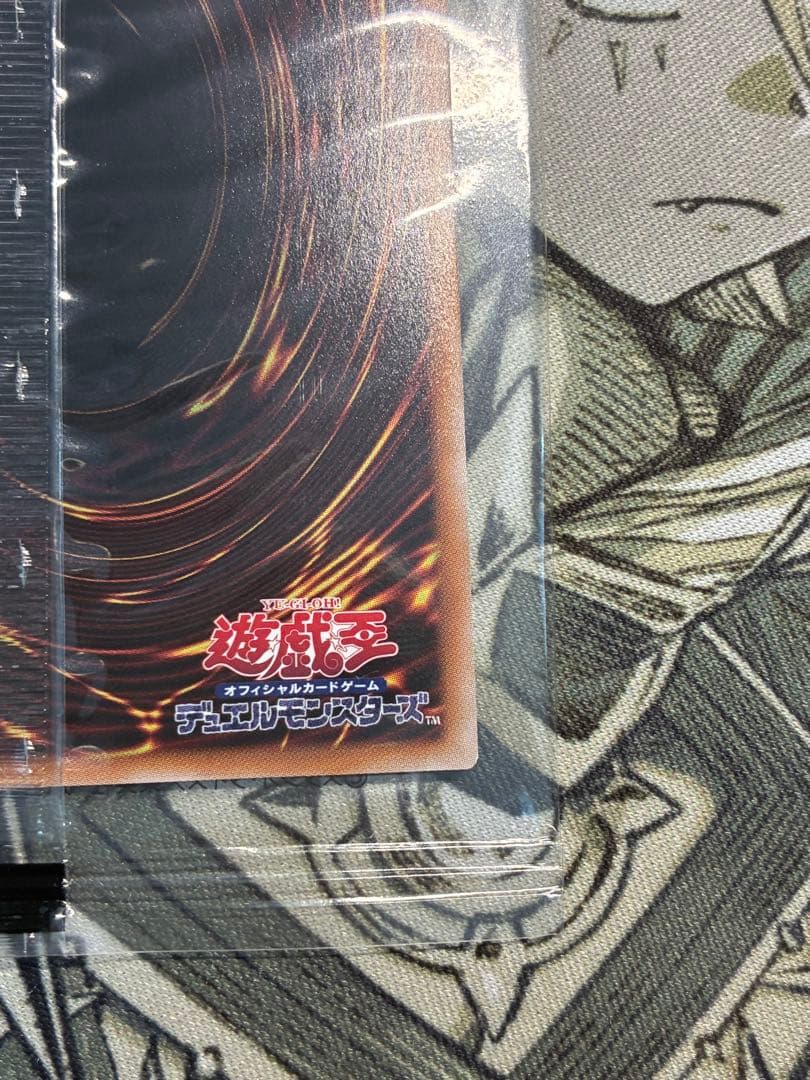 【新品未開封】異次元の女戦士　プリシク　1枚【DKC入賞景品】