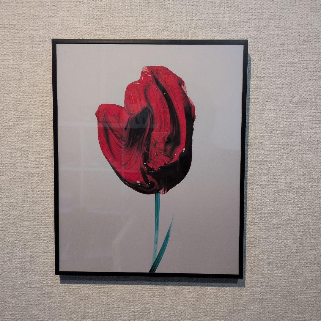 FLOWERS 武田鉄平 作品集 限定特装版セット シリアルNo.&サイン入り