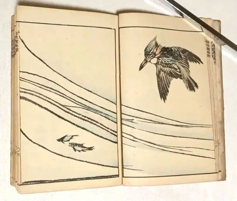 金波園画譜No.2（色刷り木版画本) 河村文鳳画、文化8年出版 - メルカリ