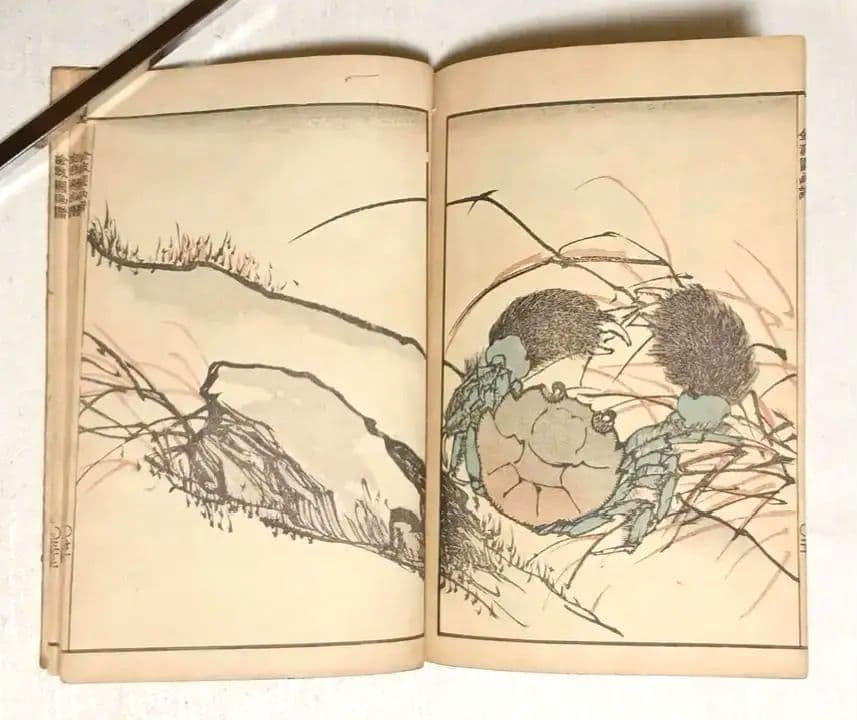 金波園画譜No.2（色刷り木版画本) 河村文鳳画、文化8年出版 - メルカリ