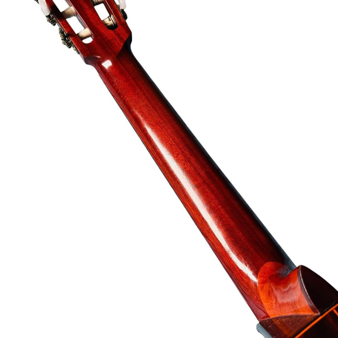 FERNANDES フェルナンデス アコースティックギター CC-15