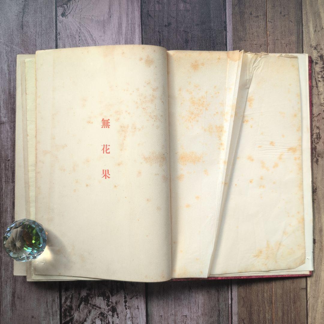 無花果」 中村春雨（吉蔵）