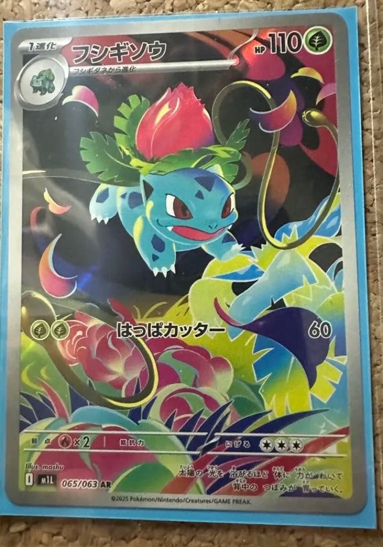 メガフシギバナex　SAR　ポケモンカードゲーム