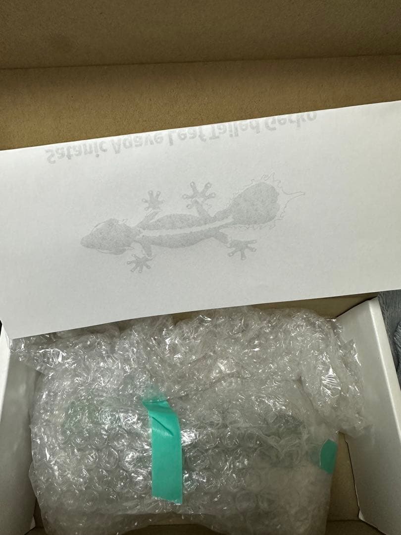 未開封品 OZWRT Agave Leaf Tailed Gecko 17cm