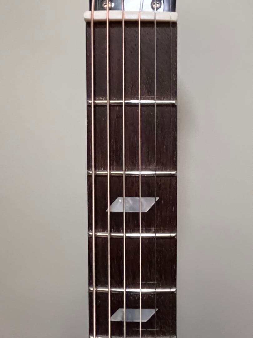 Epiphone Masterbilt Texan オール単板