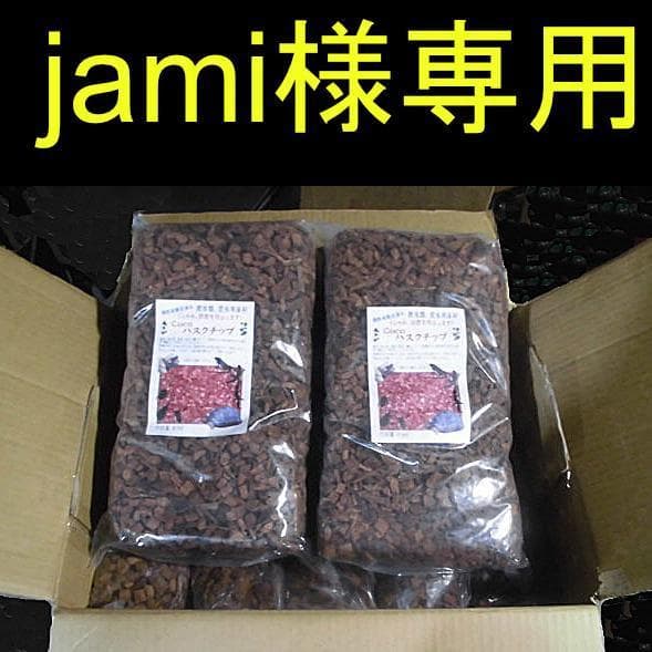 【jami】ハスクチップ 12 Jamis Citizen 1 - Greenway Bikehouse | Lansing