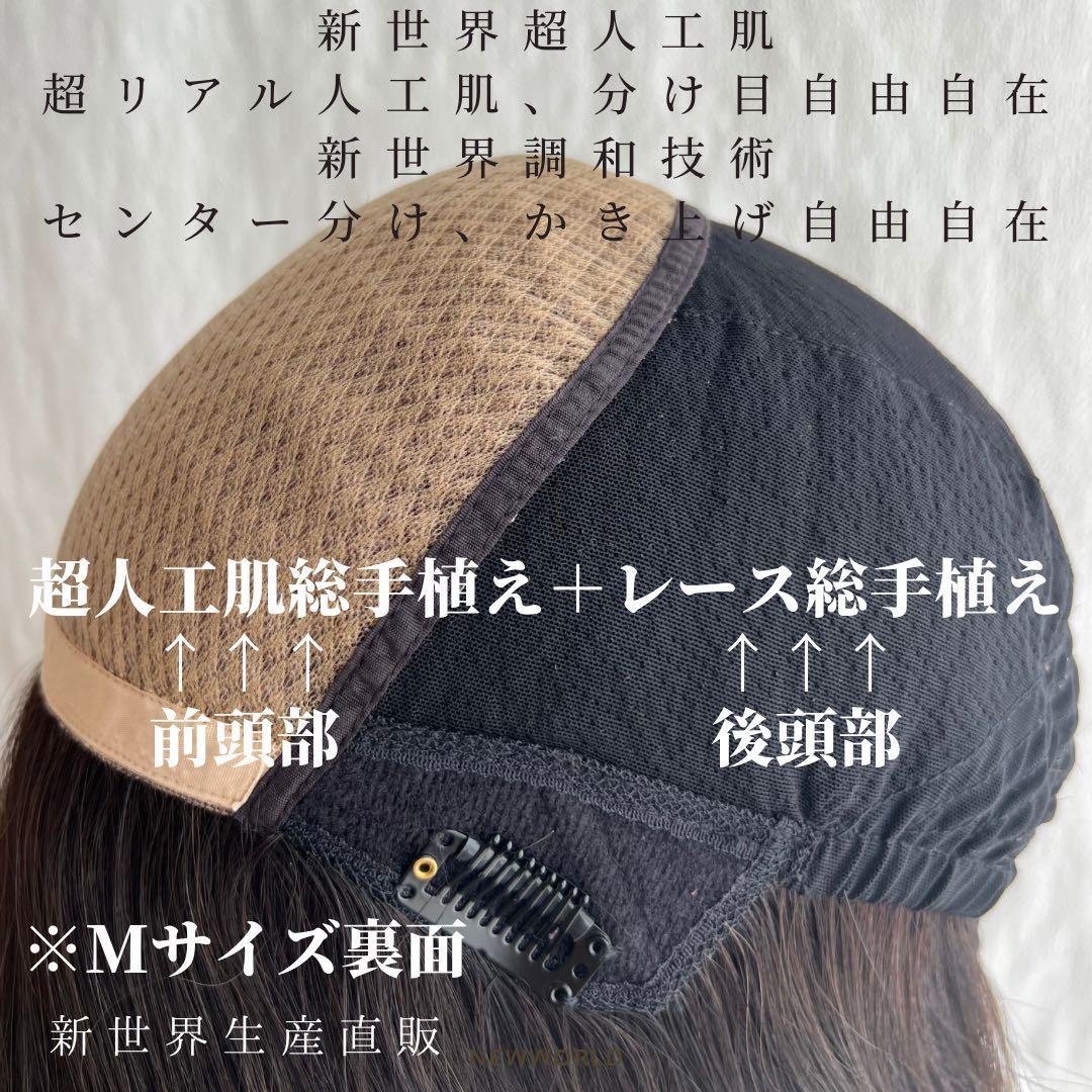 大野愛美ビキニスタイルアート ブリキ看板