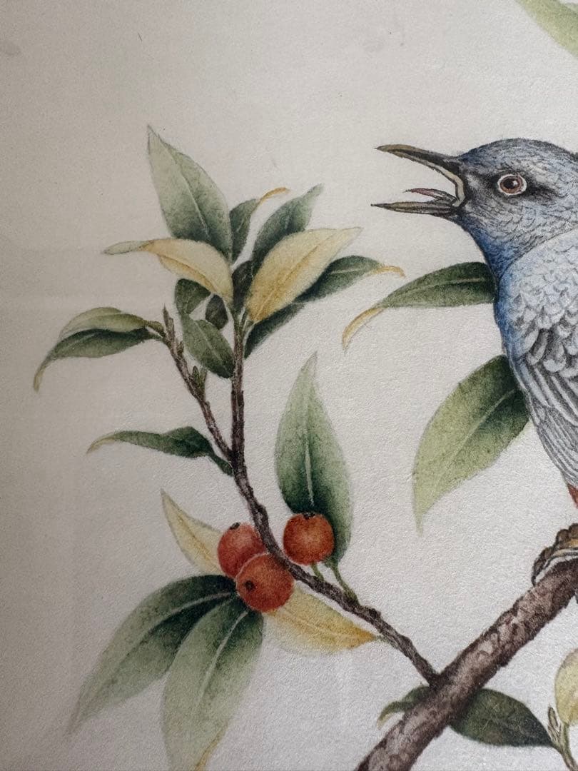 須加五々道　花鳥画「ホトトギス」　日本画