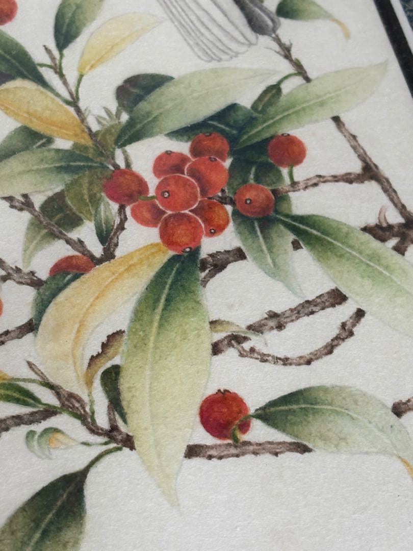 須加五々道　花鳥画「ホトトギス」　日本画