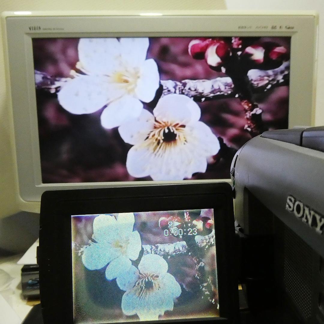 動作良好ソニー CCD-TRV92 VideoHi8ビデオカメラ DVD化に最適
