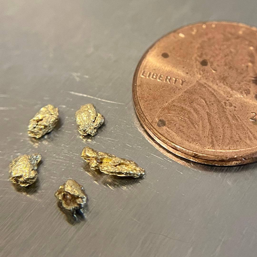 Colorado 自然金 Gold Nuggets 0.5g