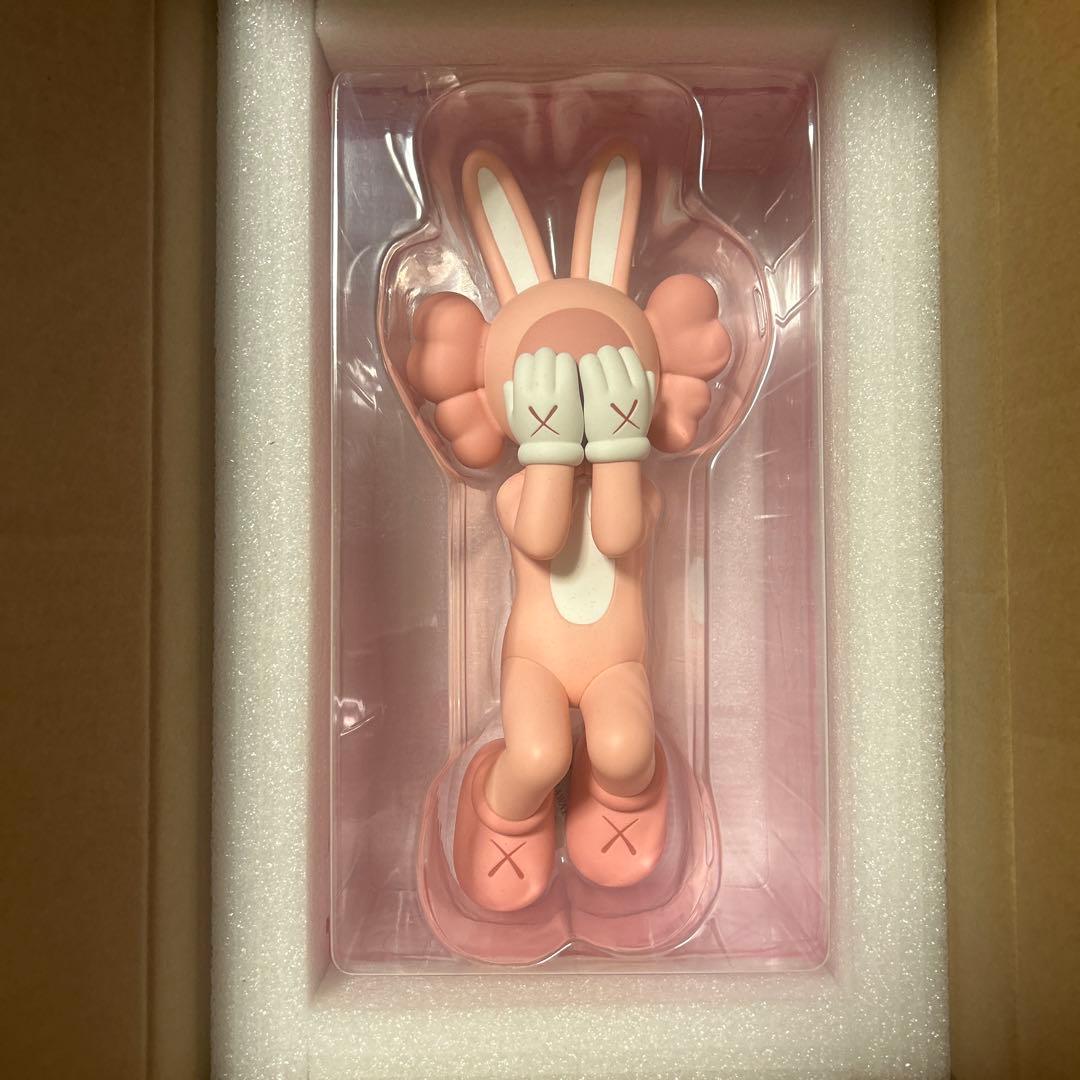 KAWS Holiday Indonesia 2色セット