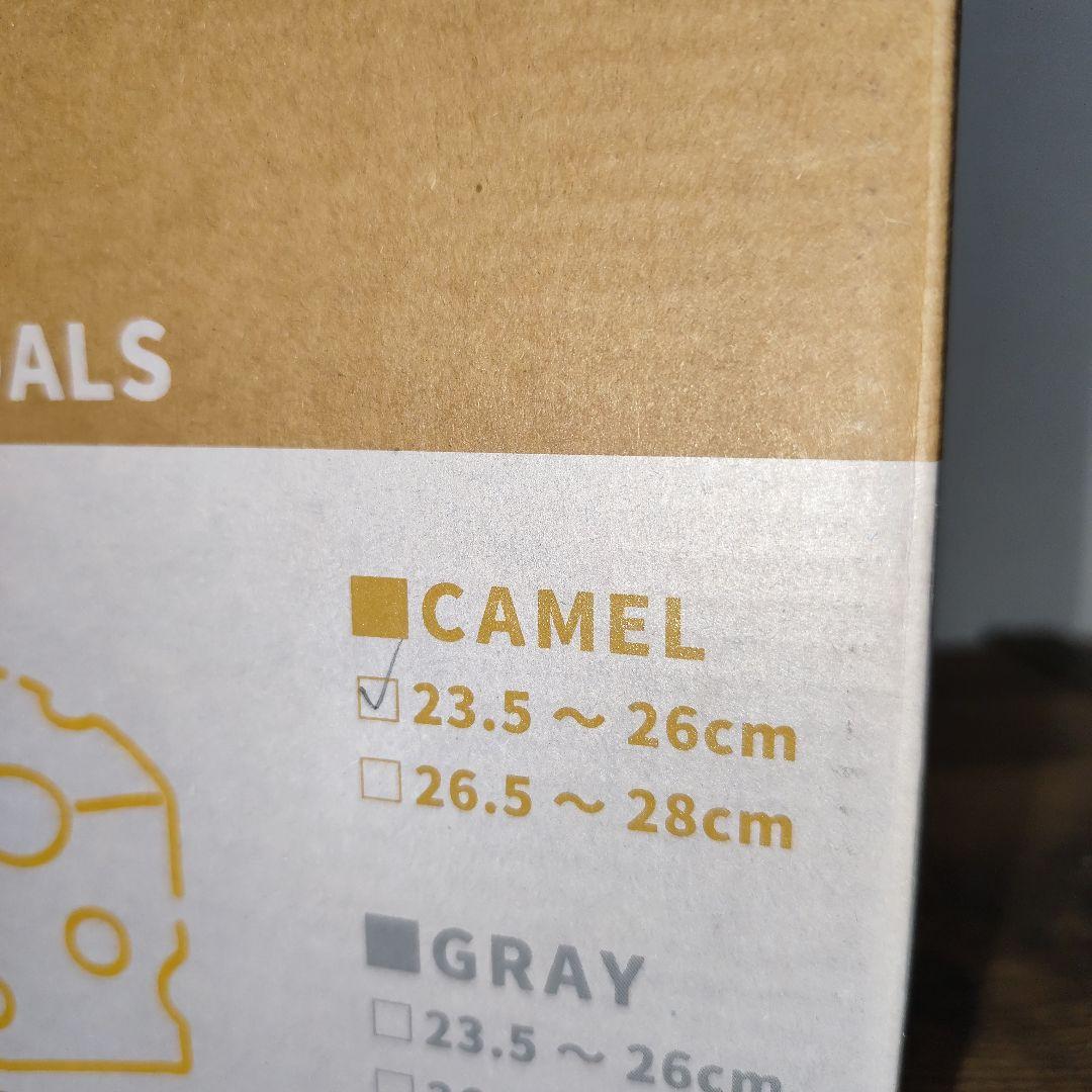 ２０２６年福箱【トムとジェリーサンダル】