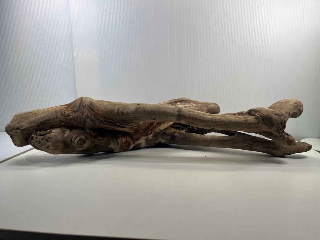 A16大型流木 アク抜き済み流木 爬虫類シェルター 登り木 インテリア 生け花