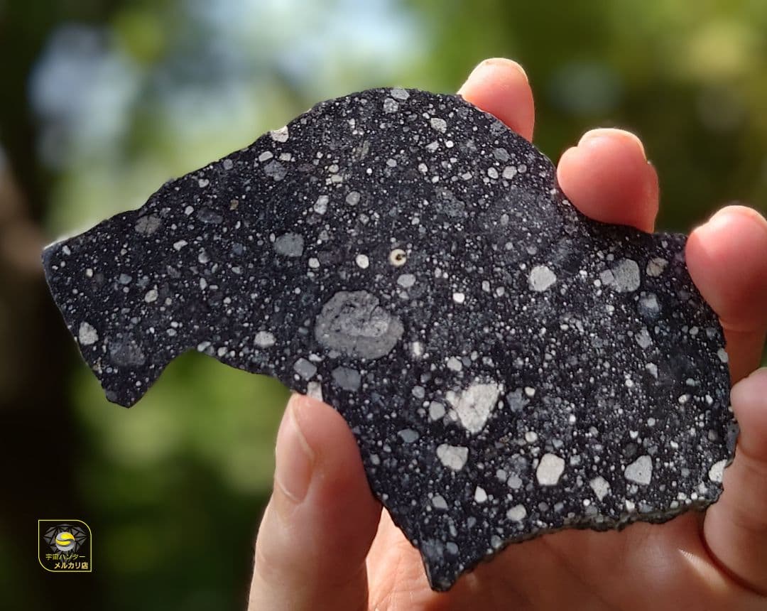 ⭐月隕石 NWA 17679 ルナー 33.7g ⭐