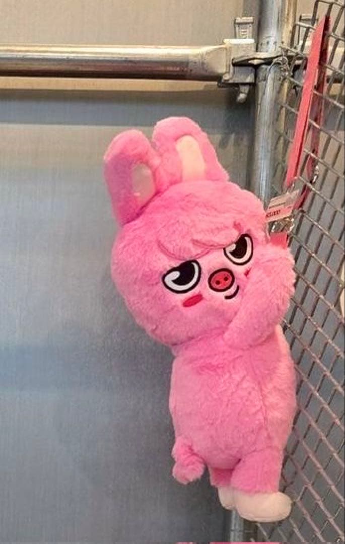 スキズ ドミネイト ポップアップ SKZOO トェッキ ぬいぐるみ バッグ