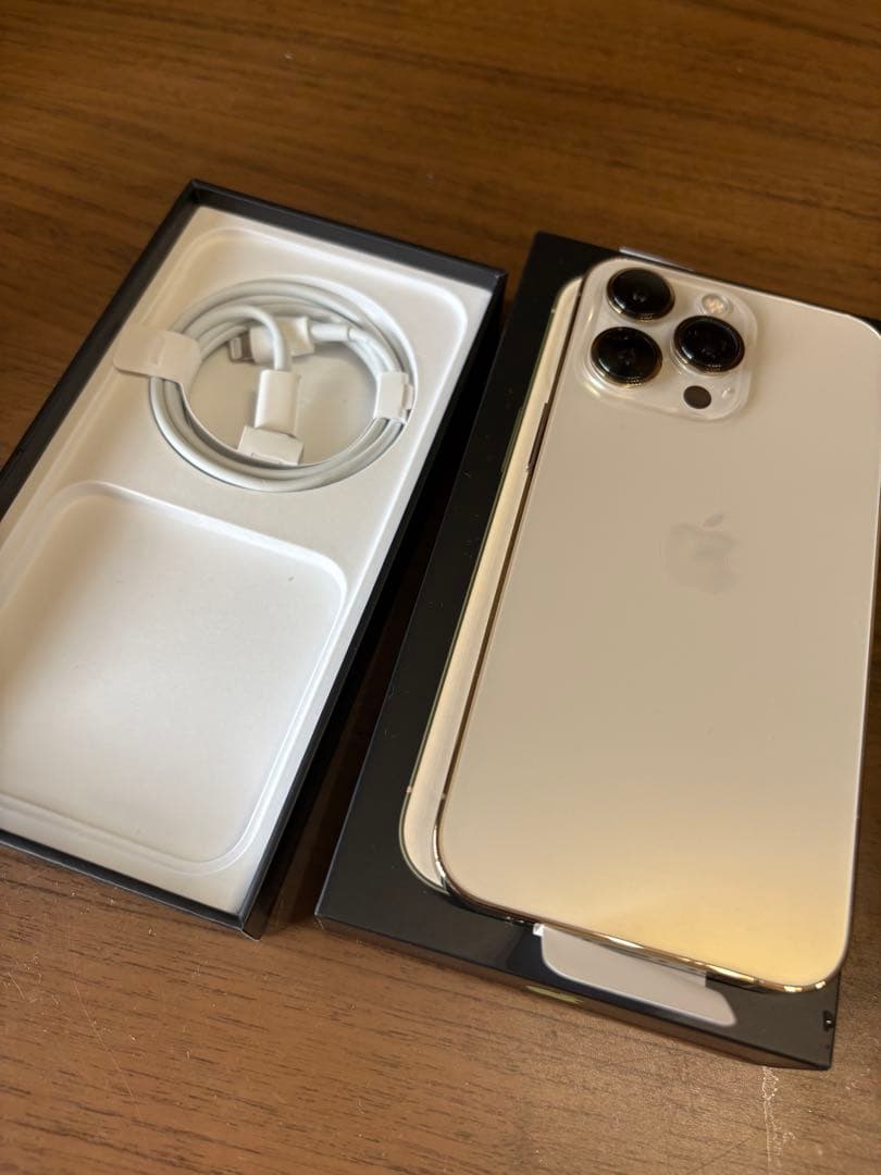 Apple iPhone 13 Pro シルバー 本体 充電ケーブル付き