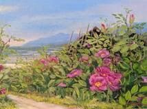 【真作】絵画　熊倉雄二　油彩4号　ハマナス咲く　花咲く小径　箱入　X152