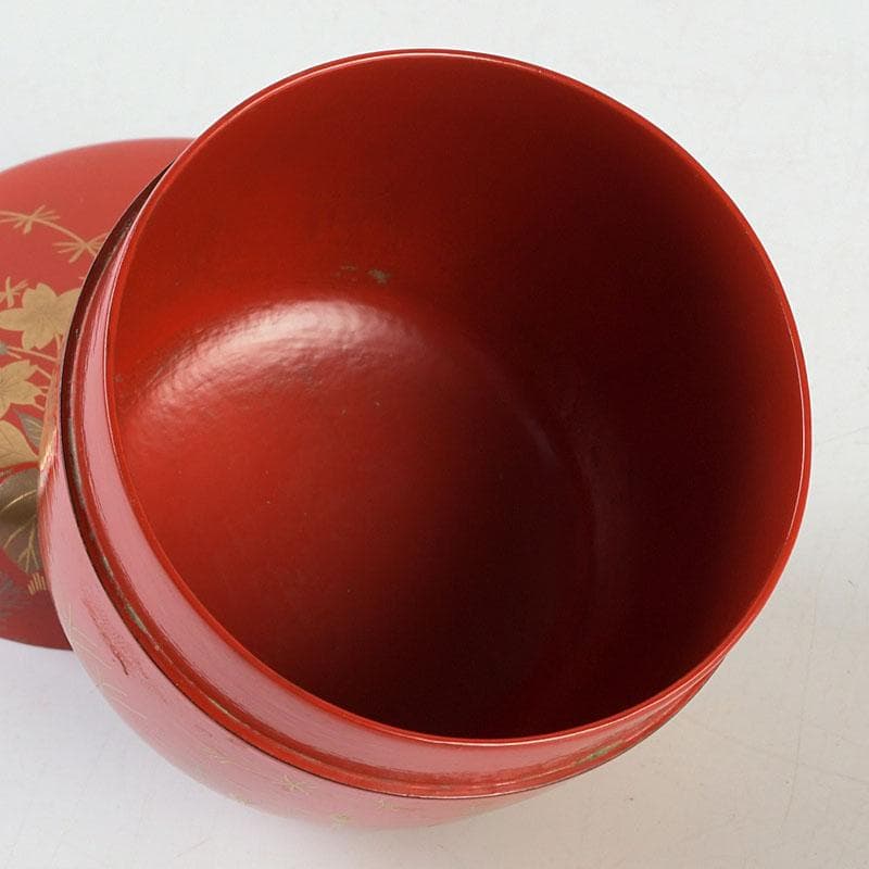 茶道具 佐々木麗峰作 鵬雲斎好写 一閑塗 春草蒔絵 棗 共