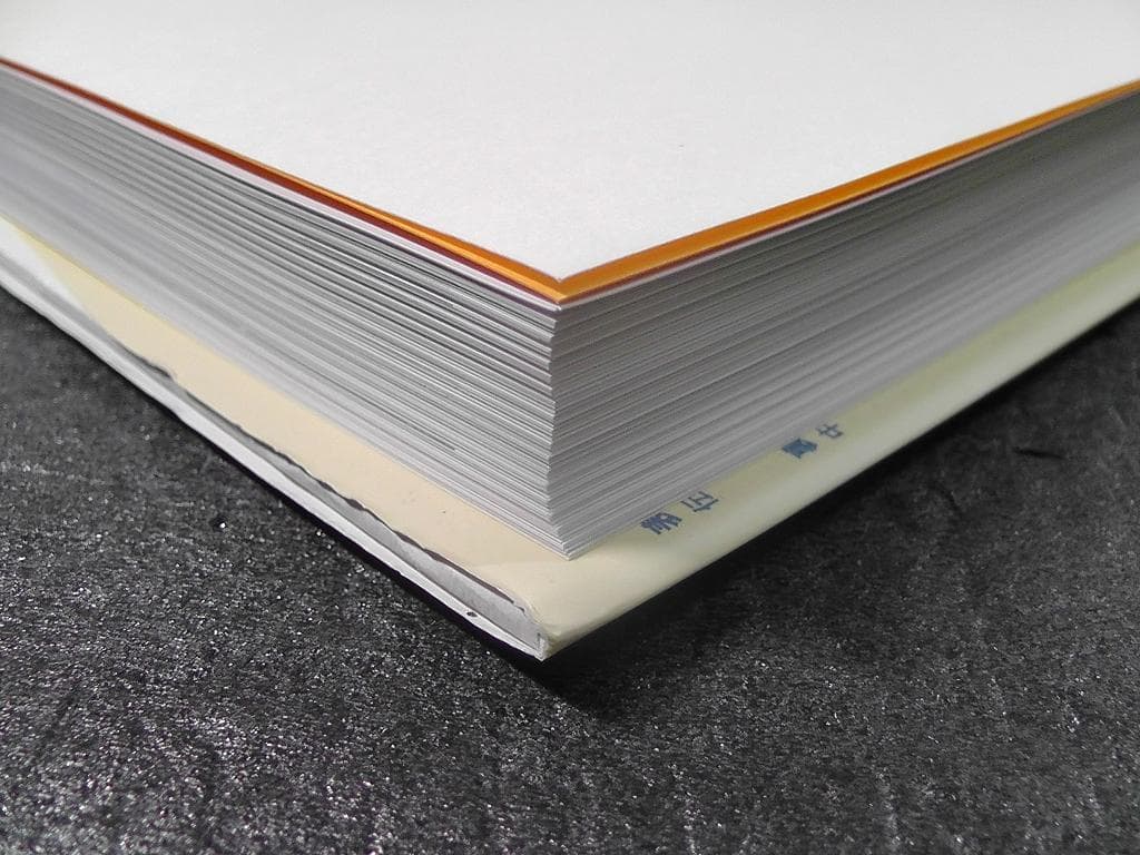 写真が語る 浜松市の110年 浜松市制110周年記念 2021年 いき出版 静岡