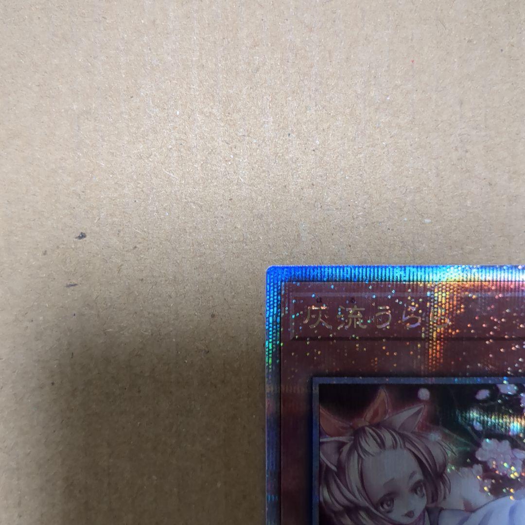 灰流うらら 25thシークレット