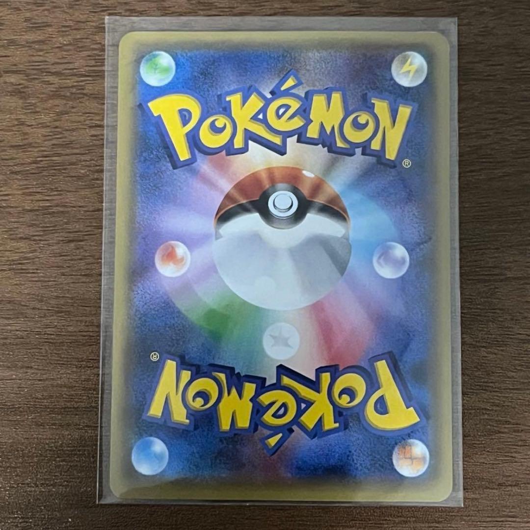 ポンチョを着たピカチュウ　黒　レックウザ