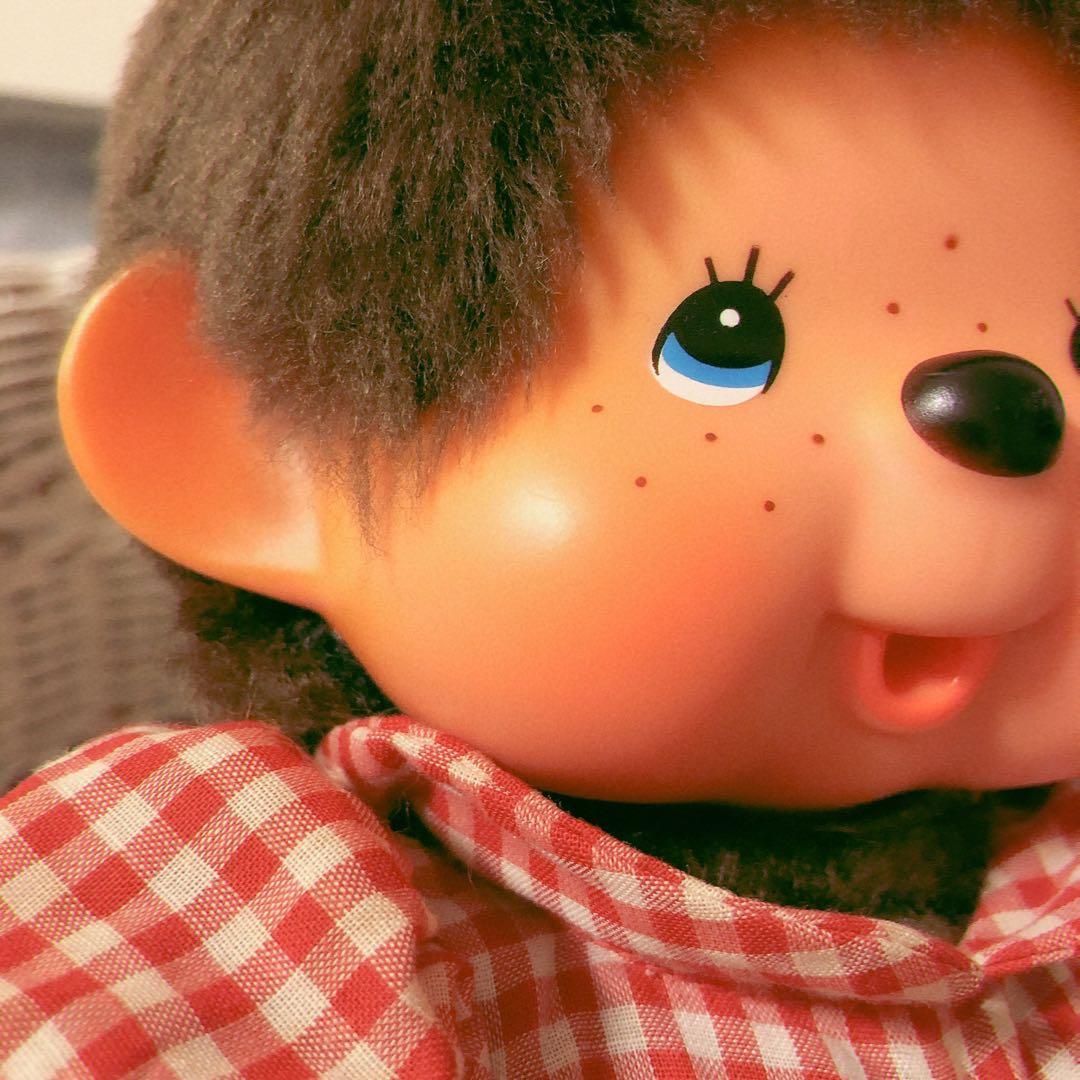 ＊本日限定＊　セキグチ　モンチッチ　パペット　ジュニア