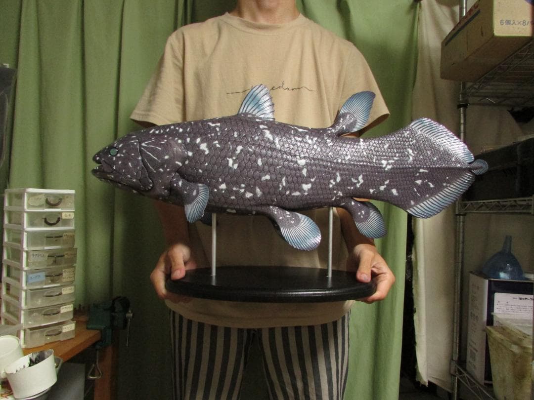 ハンドメイド61cmシーラカンス フィギュアレプリカ置物化石魚模型