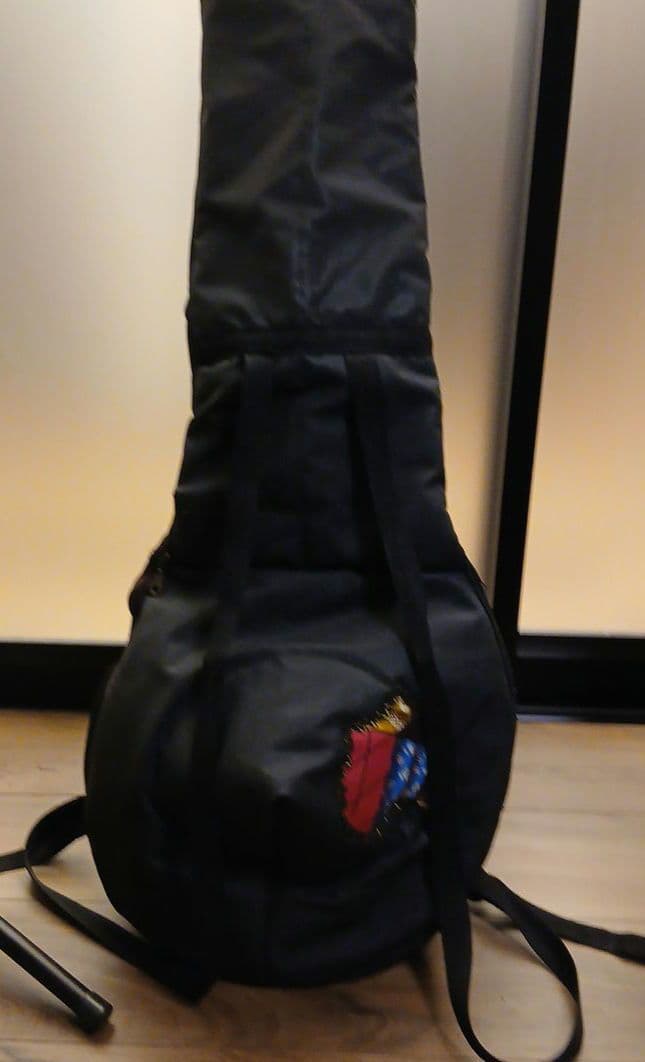 ンゴニ　西アフリカの伝統弦楽器