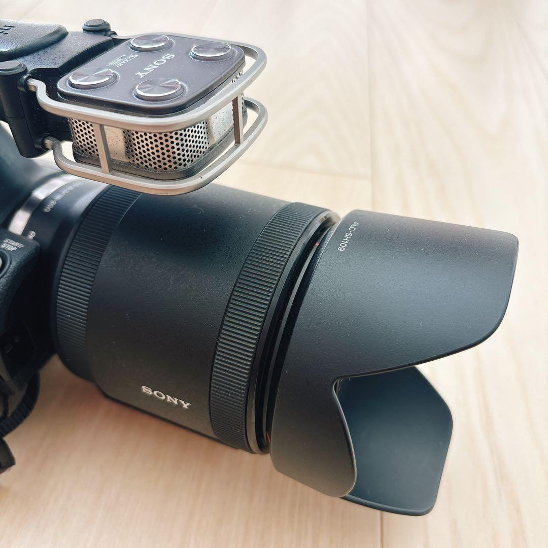 SONY ハンディカム NEX-VG30H