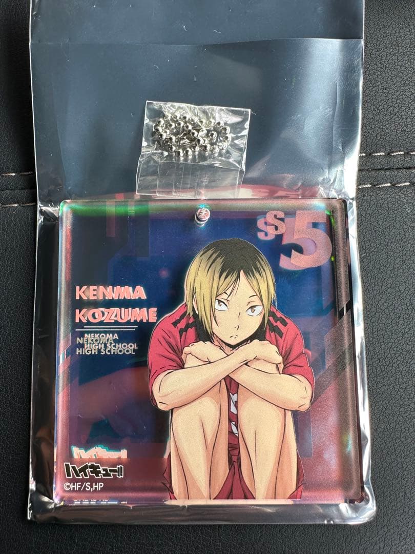 10点 孤爪研磨 こづめけんま ハイキュー!! FAN PARK ファンパーク