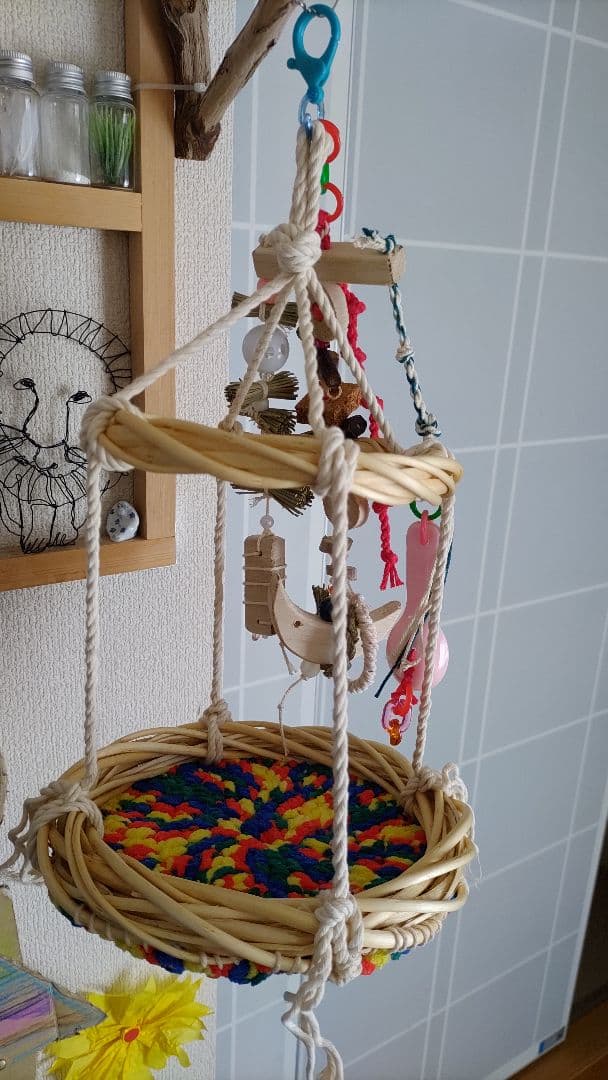 渡邊鳥インコ止まり木 流木バードアスレチック 壁掛けタイプバードジム