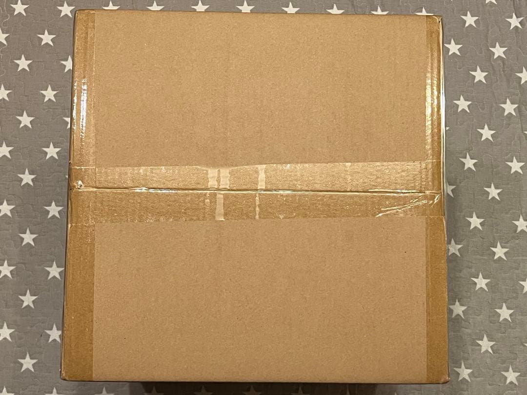 ALTER ジャンヌ・ダルク　オルタ　フィギュア　うたかたの夢Ver.