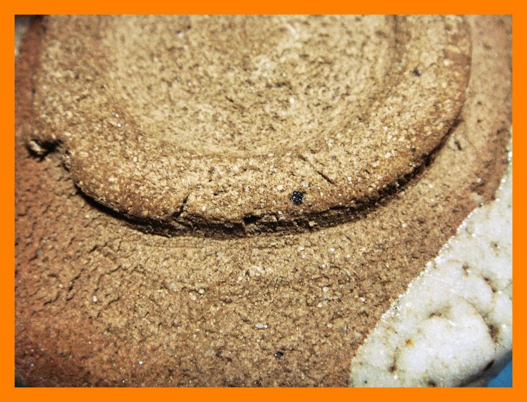 897『志野 十字紋 クロス ぐい呑』　/骨董品 古美術 アンティーク 古玩