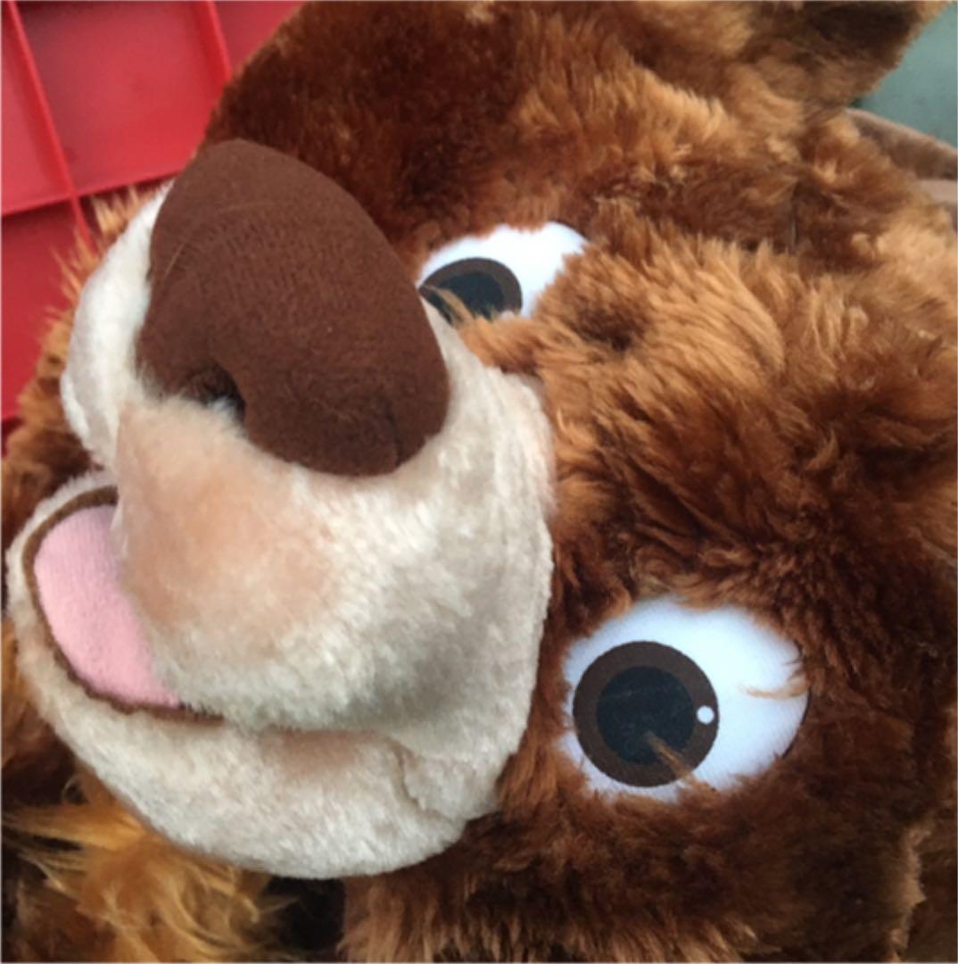 激レア！ 限定品！ ディズニー Disney ブラザーベアー 着ぐるみ 防寒