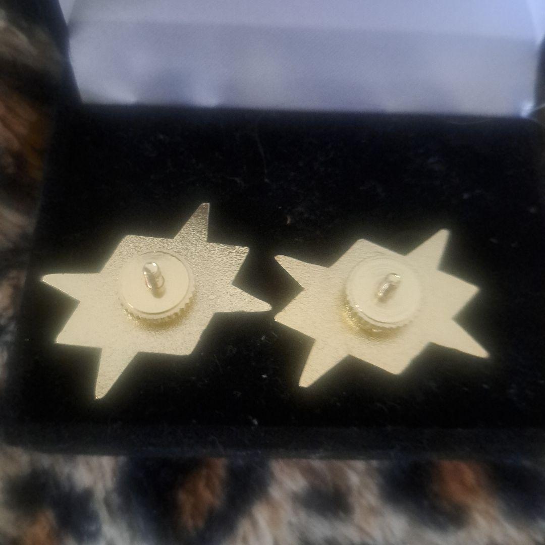 刃牙展 花山薫グッズ 花山組ピンバッジ2個セット ケース付き - メルカリ