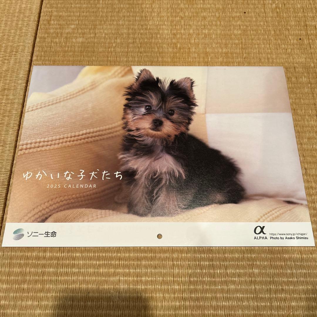 ゆかいな子犬たち2012－2024カレンダーコレクションセット○新品