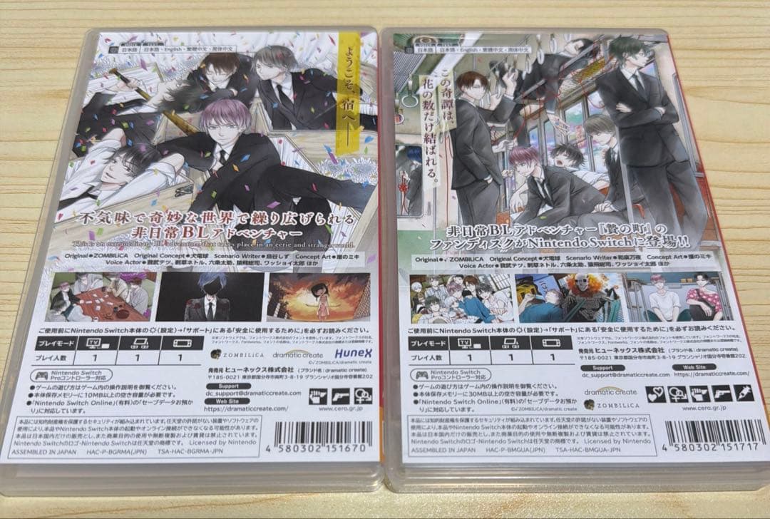 Switch 贄の町　いろむすび　2本セット