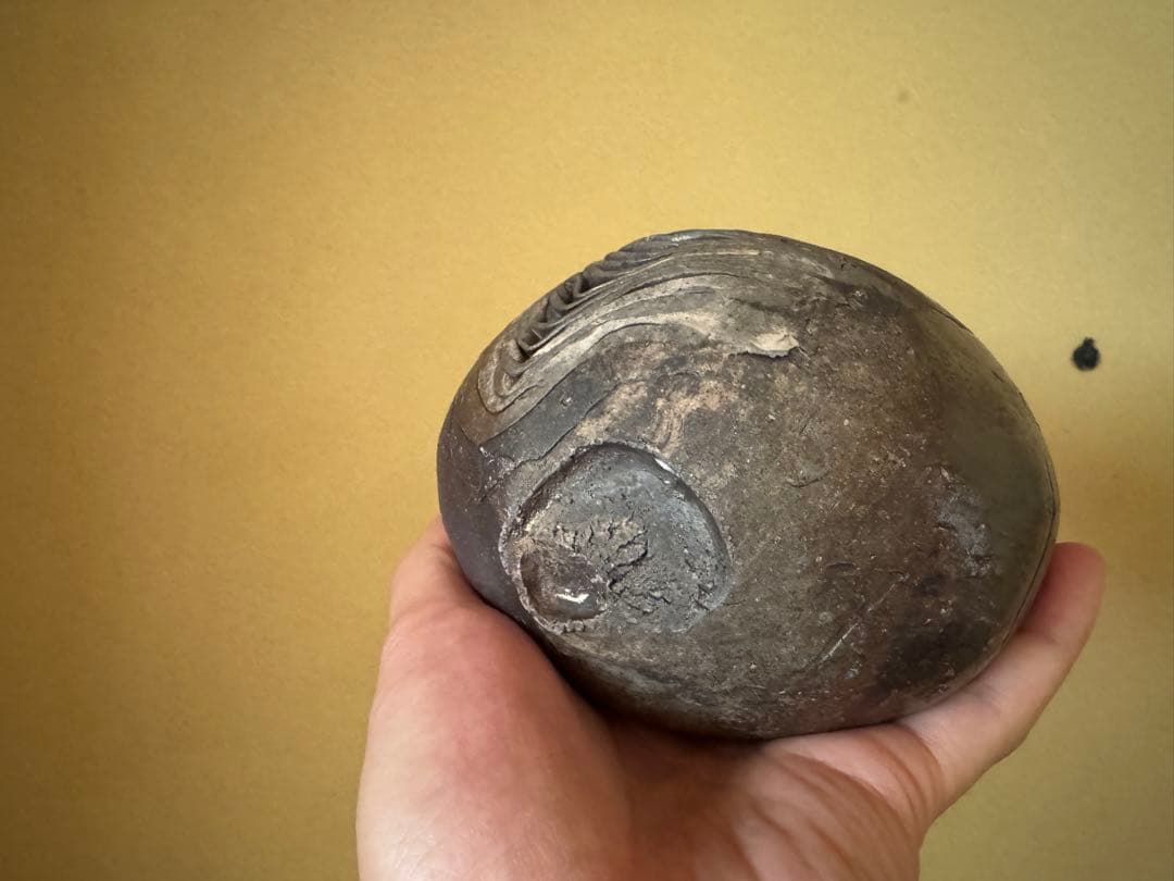 泉田之也　積層盌　茶碗　現代作家