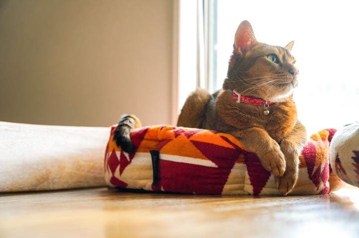 ペットベッド ハンドメイド174 ペンドルトン リメイク 猫ベッド 犬ベッド