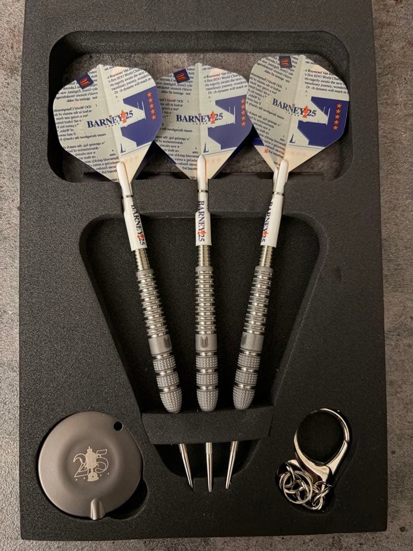 TARGET ターゲット BARNEY 25 SWISS POINT 23g