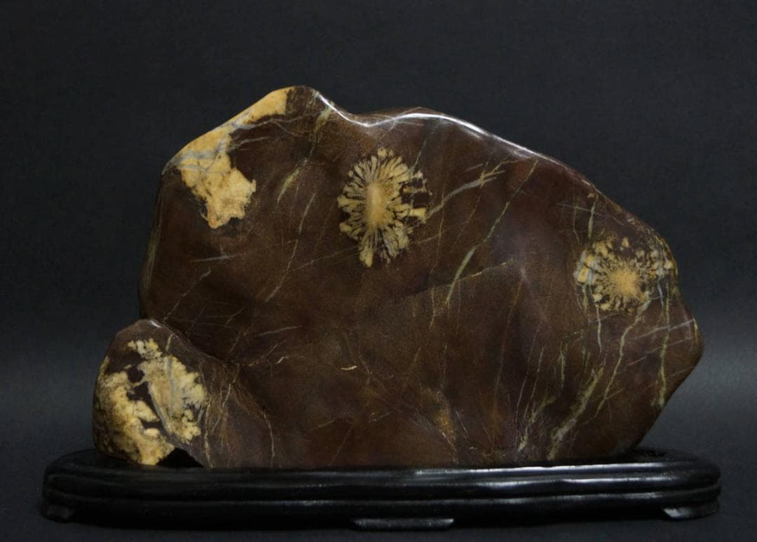 菊花石 岐阜県根尾谷産909g 鑑賞石 観賞石 水石 盆石 天然石 置物