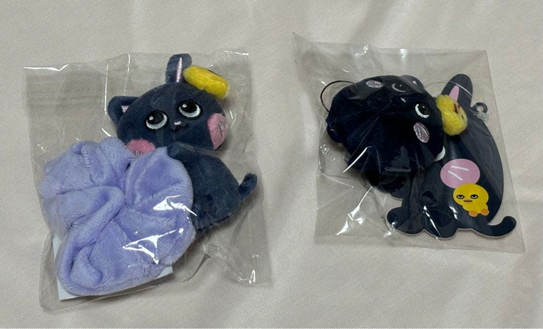 RIIZEウォンビン トニャンドク シュシュ RIIZE ウォンビン