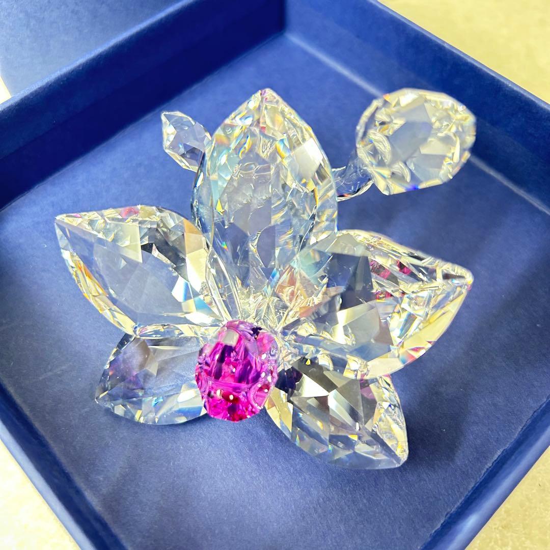 廃盤 美品 SWAROVSKI オーキッド ブロッサム 胡蝶蘭 クリスタル 【公式