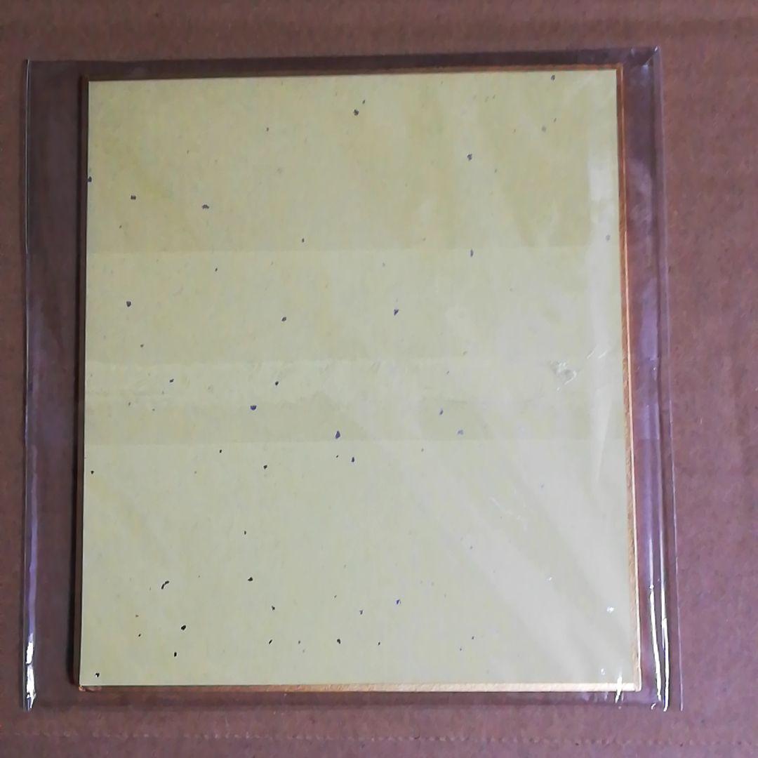 抽プレ　当選品　岸田メル　直筆サイン入り　ブルーリフレクション　白井日菜子　色紙