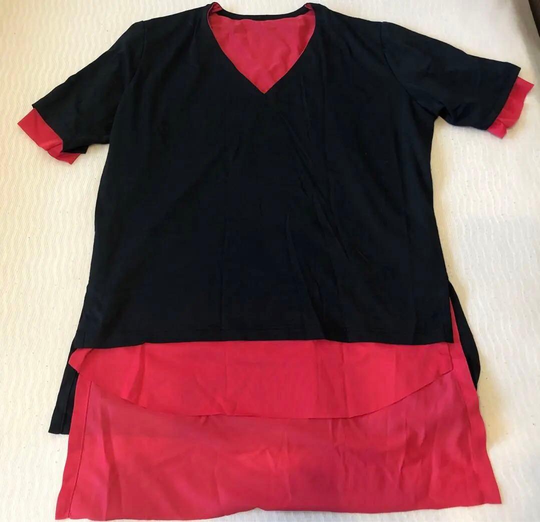 専用！【美品】ミスチル 桜井 着 レイヤード カットソー V