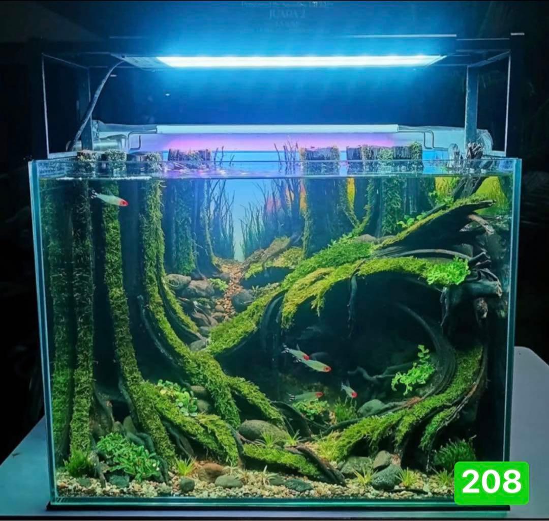 TTD 24160 【⭐︎ きょ様⭐︎】【美品・数量限定】