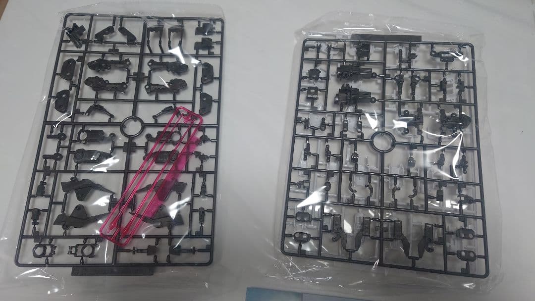 MG 1/100 フリーダムガンダム　ソリッドクリア（一番くじ B賞）